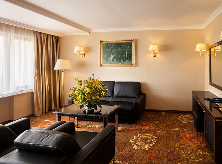 Hotel Gołębiewski Pok&oacute;j?v=1.0