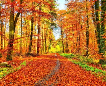 Najpiękniejsze kolory - Mikołajki jesień