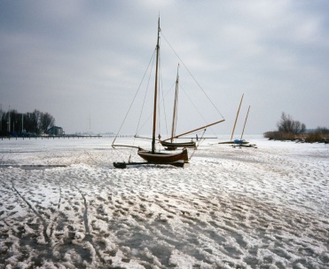 Kurki - idealne do jajecznicy