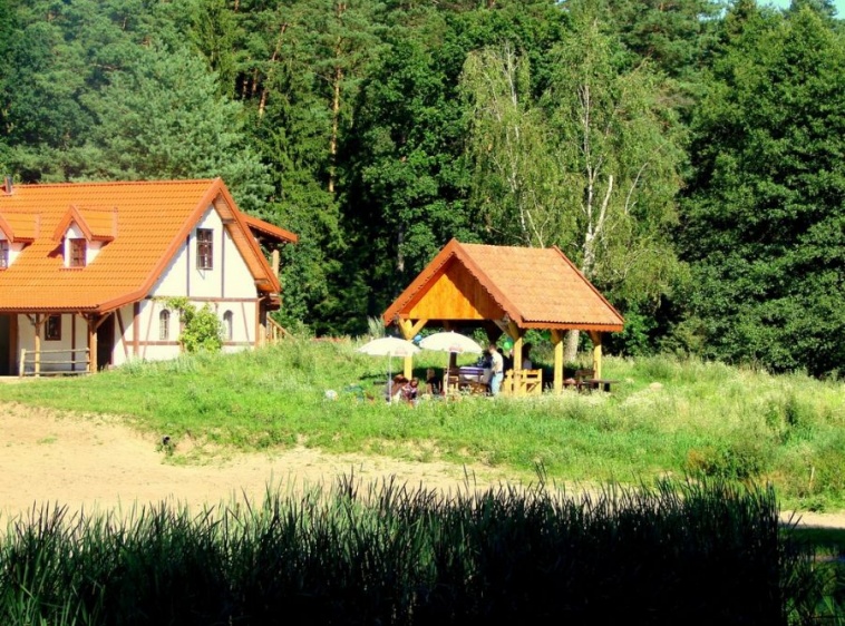 Stadnina Koni - Klonek - Leśne Zacisze 