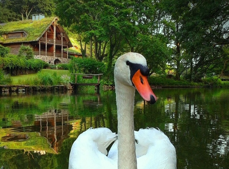 Spływy Kajakowe As-Tour