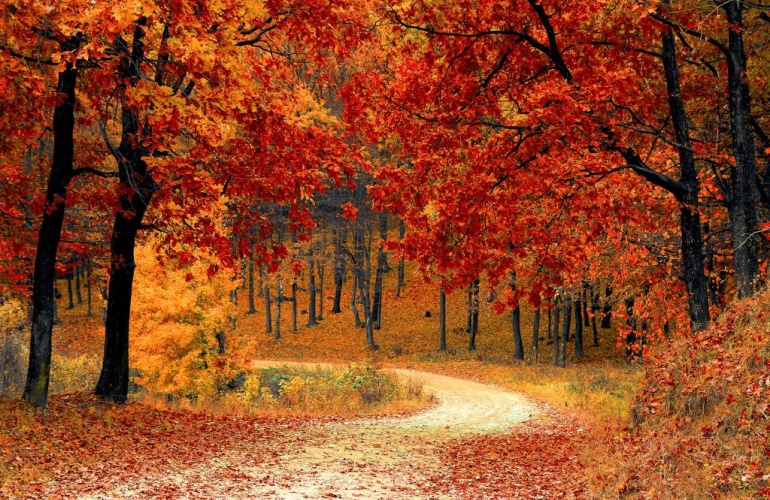 Dlaczego warto pojechać do Mikołajek jesienią i zimą?