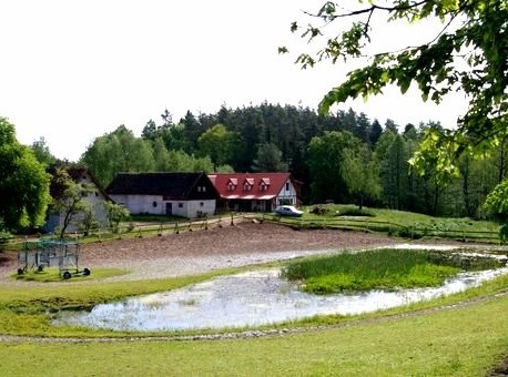 Stadnina Koni - Klonek - Leśne Zacisze ?v=1.0
